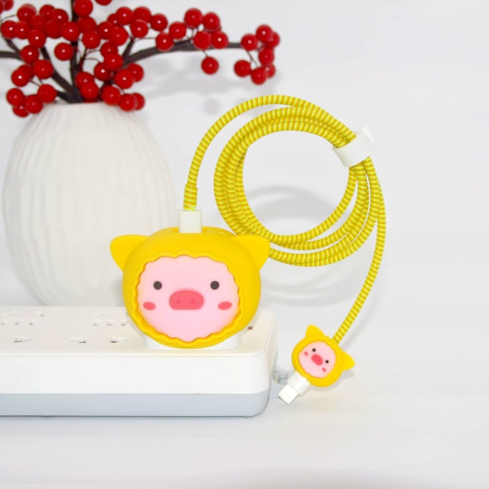 2pin Charger Protector Case