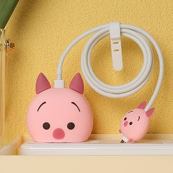 2pin Charger Protector Case